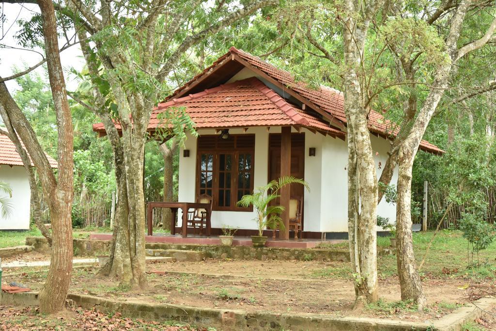 King'S Elephant Cabanas & Restaurant Tangalle Exterior foto